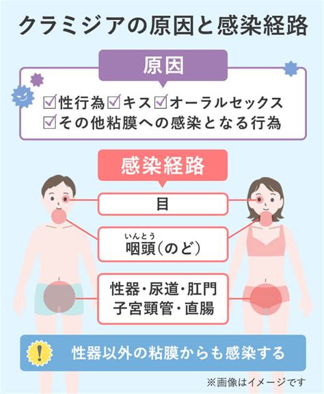 クラミジア フェラ|クラミジアの感染確率はどのくらい？行為別に紹介